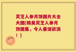 灵芝人参月饼图片大全大图(精美灵芝人参月饼图集，令人垂涎欲滴！)