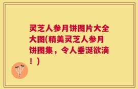 灵芝人参月饼图片大全大图(精美灵芝人参月饼图集，令人垂涎欲滴！)