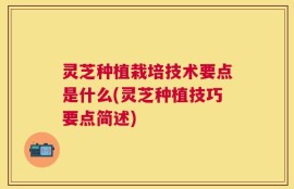 灵芝种植栽培技术要点是什么(灵芝种植技巧要点简述)