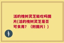 活的槐树灵芝能吃吗图片(活的槐树灵芝是否可食用？（附图片）)