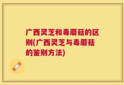 广西灵芝和毒蘑菇的区别(广西灵芝与毒蘑菇的鉴别方法)