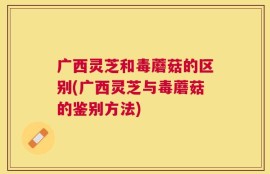 广西灵芝和毒蘑菇的区别(广西灵芝与毒蘑菇的鉴别方法)
