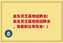 启东灵芝基地招聘会(启东灵芝基地现招聘会，海量职位等你来！)