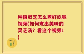 种植灵芝怎么煮好吃呢视频(如何煮出美味的灵芝汤？看这个视频！)