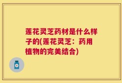 莲花灵芝药材是什么样子的(莲花灵芝：药用植物的完美结合)