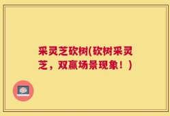 采灵芝砍树(砍树采灵芝，双赢场景现象！)
