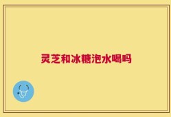 灵芝和冰糖泡水喝吗