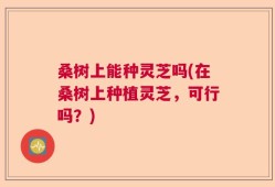 桑树上能种灵芝吗(在桑树上种植灵芝，可行吗？)