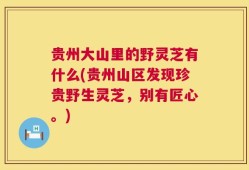 贵州大山里的野灵芝有什么(贵州山区发现珍贵野生灵芝，别有匠心。)