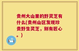 贵州大山里的野灵芝有什么(贵州山区发现珍贵野生灵芝，别有匠心。)