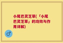 小尾巴灵芝草(「小尾巴灵芝草」的功效与作用详解)