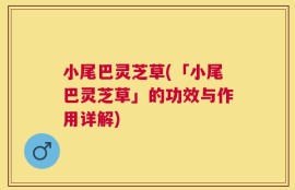 小尾巴灵芝草(「小尾巴灵芝草」的功效与作用详解)