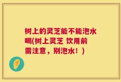 树上的灵芝能不能泡水喝(树上灵芝 饮用前需注意，别泡水！)