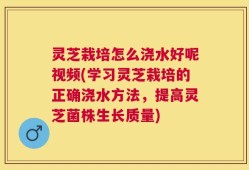 灵芝栽培怎么浇水好呢视频(学习灵芝栽培的正确浇水方法，提高灵芝菌株生长质量)
