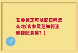 玄参灵芝可以配伍吗怎么吃(玄参灵芝如何正确搭配食用？)