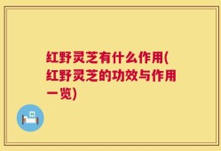 红野灵芝有什么作用(红野灵芝的功效与作用一览)