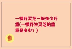 一棵野灵芝一般多少斤重(一棵野生灵芝的重量是多少？)