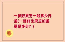 一棵野灵芝一般多少斤重(一棵野生灵芝的重量是多少？)