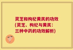 灵芝和枸杞黄芪的功效(灵芝、枸杞与黄芪：三种中药的功效解析)