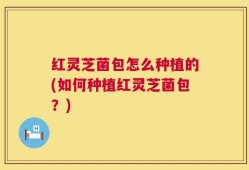 红灵芝菌包怎么种植的(如何种植红灵芝菌包？)