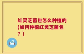 红灵芝菌包怎么种植的(如何种植红灵芝菌包？)