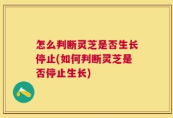 怎么判断灵芝是否生长停止(如何判断灵芝是否停止生长)