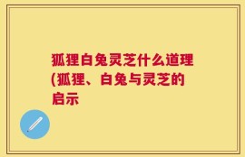 狐狸白兔灵芝什么道理(狐狸、白兔与灵芝的启示