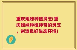 重庆姐妹种植灵芝(重庆姐妹种植神奇的灵芝，创造良好生态环境)