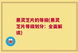 黑灵芝片的等级(黑灵芝片等级划分：全面解读)