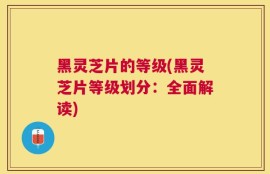 黑灵芝片的等级(黑灵芝片等级划分：全面解读)