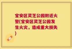 宝安区灵芝公园附近火警(宝安区灵芝公园发生火灾，造成重大损失)