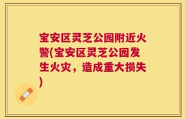宝安区灵芝公园附近火警(宝安区灵芝公园发生火灾，造成重大损失)