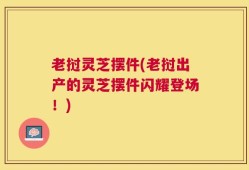 老挝灵芝摆件(老挝出产的灵芝摆件闪耀登场！)