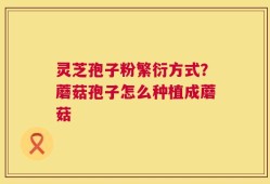 灵芝孢子粉繁衍方式？蘑菇孢子怎么种植成蘑菇