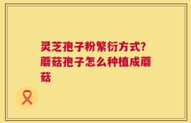 灵芝孢子粉繁衍方式？蘑菇孢子怎么种植成蘑菇