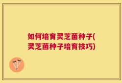 如何培育灵芝菌种子(灵芝菌种子培育技巧)