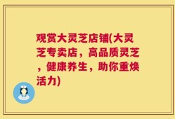 观赏大灵芝店铺(大灵芝专卖店，高品质灵芝，健康养生，助你重焕活力)