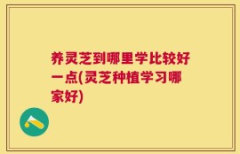 养灵芝到哪里学比较好一点(灵芝种植学习哪家好)
