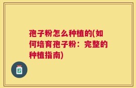 孢子粉怎么种植的(如何培育孢子粉：完整的种植指南)