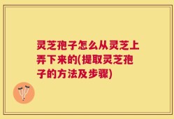 灵芝孢子怎么从灵芝上弄下来的(提取灵芝孢子的方法及步骤)