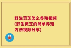 野生灵芝怎么养殖视频(野生灵芝的简单养殖方法视频分享)
