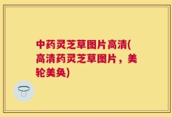 中药灵芝草图片高清(高清药灵芝草图片，美轮美奂)