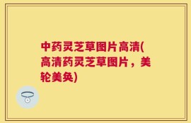 中药灵芝草图片高清(高清药灵芝草图片，美轮美奂)