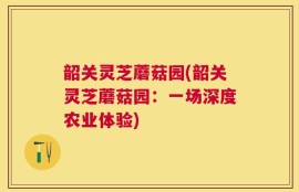 韶关灵芝蘑菇园(韶关灵芝蘑菇园：一场深度农业体验)