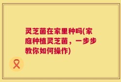 灵芝菌在家里种吗(家庭种植灵芝菌，一步步教你如何操作)