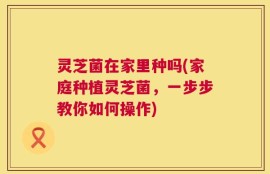灵芝菌在家里种吗(家庭种植灵芝菌，一步步教你如何操作)