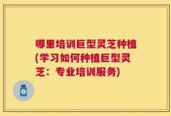 哪里培训巨型灵芝种植(学习如何种植巨型灵芝：专业培训服务)