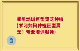 哪里培训巨型灵芝种植(学习如何种植巨型灵芝：专业培训服务)