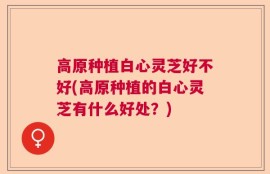 高原种植白心灵芝好不好(高原种植的白心灵芝有什么好处？)
