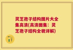 灵芝孢子结构图片大全集高清(高清图集：灵芝孢子结构全貌详解)